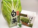 わくわく栽培セット　鍋の野菜