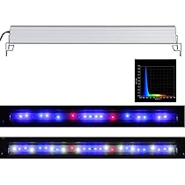 Amazon.co.jp: アクロ TRIANGLE LED MARINE