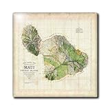 3dRose ct_100516_2 Picture of 1885 Map of Maui Hawaii-Ceramic Tile, 6-Inch [並行輸入品]