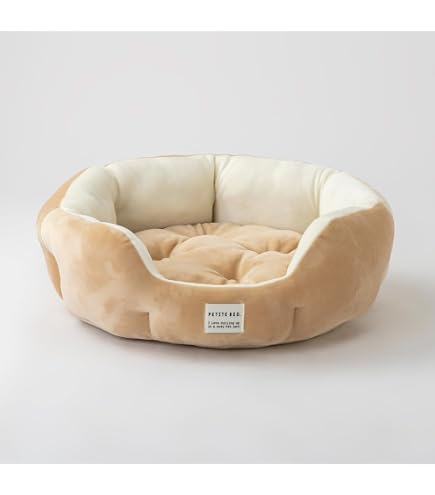 Amazon | カインズ(CAINZ) ペットのためのオーバル型ベッド ジャンボ