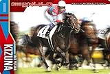 【No.2-008.キズナ 第80回東京優駿(GI)】サラブレッドホースコレクション ツインウエハース 第2R