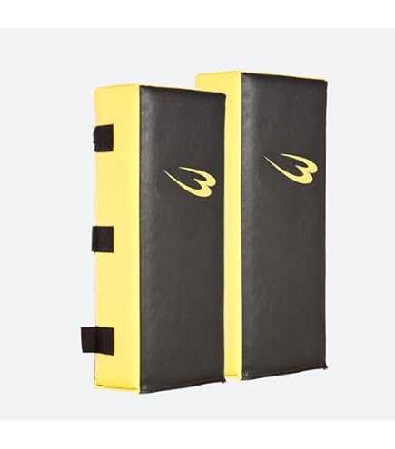 Amazon | BODYMAKER(ボディメーカー) ビッグミット V3 ミット 空手