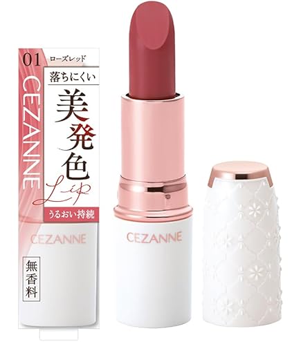 Amazon | Dries Van Noten リップスティックケース - コーラル