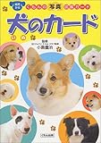 犬のカード