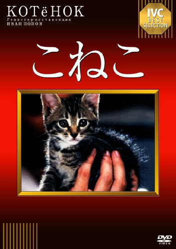 こねこ [DVD]