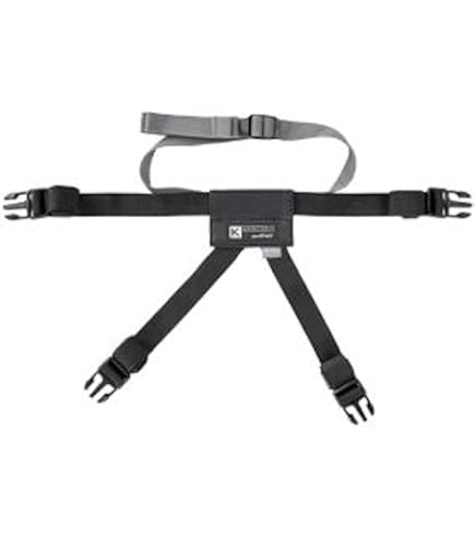 Amazon | タナックス(TANAX) MOTOFIZZ シートバック固定ベルト K