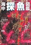 海中探魚図鑑
