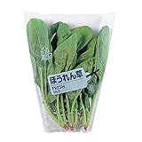 ほうれん草 FT 28cm/12cmX30cmX100枚