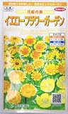 イエローフラワーガーデン・花絵の具