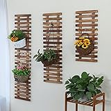 Plant shelf 壁フラワーラック、バルコニー壁掛け植物棚サスペンションセット3壁フラワーポットラック Flower racks ( 色 : ブラウン ぶらうん , サイズ さいず : 60*2