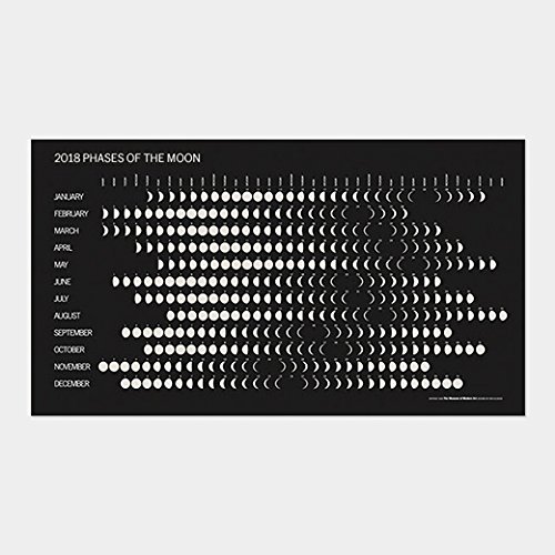 Moma 月齢 カレンダー 18 文具百貨