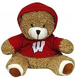 NCAA Wisconsin Badgers Plush Bear withロゴパーカー、チームカラー