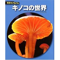 51K8J1DGP8L._AC_UL210_SR210,