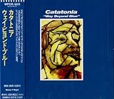 �E�F�C�E�r�����h�E�u���[