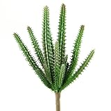 Shinoda Design Center 0031301150 2 Piece Faux Succulent Stem Set 9 Green【クリスマス】【ツリー】 [並行輸入品]