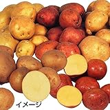国華園　種いも　じゃがいも福袋　5種5kg【※発送が国華園からの場合のみ正規品です】