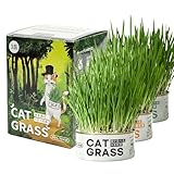 PET-TEAM/ペットチーム 缶で育てる キャットグラス ３缶 猫草 栽培セット(大麦若葉＋燕麦若葉＋小麦若葉)