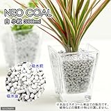 パッケージなし ネオコール 白 小粒 300mL