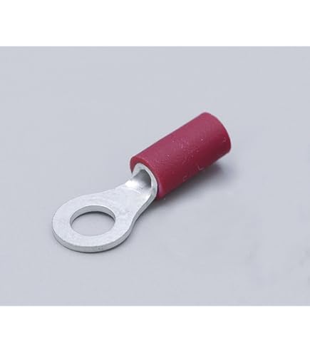 名護蘭 】明丸バキバキの縞 覆輪系 264 名護蘭 】明丸バキバキの縞