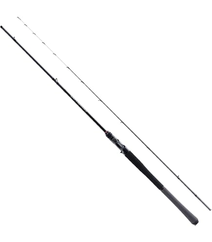 ダイワ ソルティスト BS66ML Amazon | シマノ(SHIMANO) 船竿 25ソルティーアドバンス オフショア