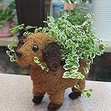 ワンちゃんバスケット（子犬）ミニ観葉入り（プミラ）　お誕生日プレゼントやお祝い　インテリアに