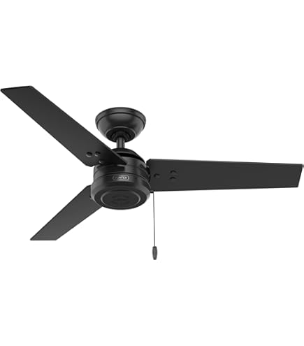 Amazon.co.jp: Hunter 52インチ 屋外または屋内シーリングファン