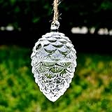 SHINA 2個セット ハンギング ガラス 花瓶 水栽培ポット 観葉植物 水耕栽培植物 ホームデコレーション