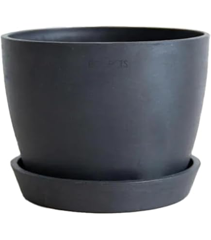 GOUJIN BOTANIZE 豪人窯 ボタナイズ 植木鉢 陶器セット GOUJIN BOTANIZE 豪人窯 ボタナイズ 植木鉢 陶器セット