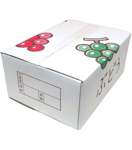 bisutweed 専用 6箱+24.02分 MDS BtoB |#クツワ ポーチ キャリングボックス カフェベージュ
