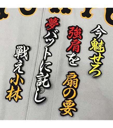 Amazon.co.jp: 読売 ジャイアンツ 巨人 刺繍ワッペン 甲斐 拓也 背番号