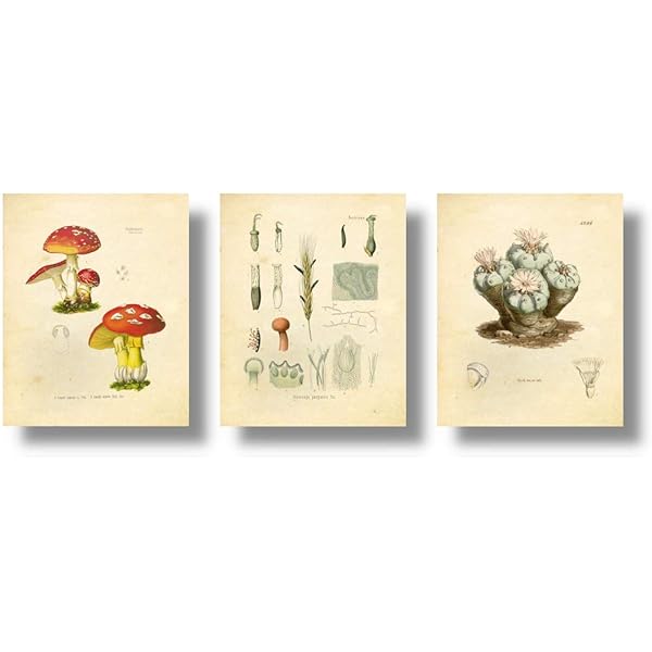 【希少品】ブロッターアート 「ACID 300mcg」図版 大判 コレクションに 希少品】ブロッターアート 「ACID 300mcg」図版 大判 コレクションに