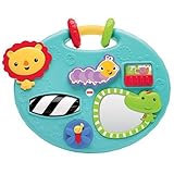 Fisher-Price Explore & Play Panel [並行輸入品]