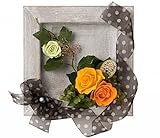 アンティークフレーム正方形 M イエロー SD6340Y SD6340Y