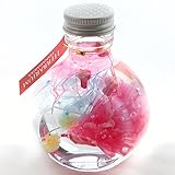 ハーバリウム 『花屋が作るファンタジーハーバリウムギフト』プリザーブド 16時〆即日発送（日曜除く）,カーネーションピンク 16時〆即日発送（日曜除く）,カーネーションピンク