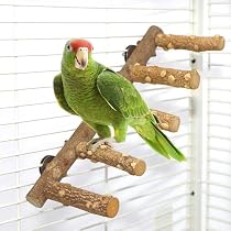 Amazon | dilib インコ はしご おもちゃ 木製 鳥 止まり木 吊り下げ