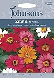 JOFL 英国ジョンソンシード Zinnia Pinwheel ジニア・ピンホィール ＊2015新品種
