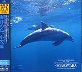 ���R���V���[�Y �C�m�̓��A���}��