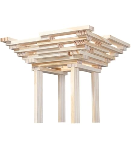 Amazon.co.jp: Kapla [ カプラ ] 茶 [ カプラ] アートブック 本 積み木