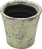 陶器植木鉢 フォレストポット 木漏れ日(こもれび) 大サイズ 6.5号 外径19cm×高さ18cm 154043L-S12