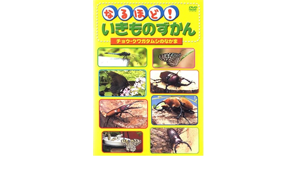 Amazon Co Jp なるほど いきものずかん チョウ クワガタムシのなかま レンタル落ち Dvd ブルーレイ