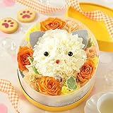 BunBunBee ペットフラワー♪アレンジ「にゃんこと季節の花」黄色い小箱