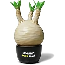 yasuo noto　パキポーズ　グラキリス This is the idol of the plant world! Introducing all the