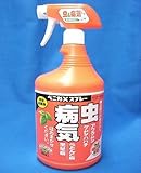 殺虫剤 スプレー 900ml ベニカXスプレー 春蘭 富貴蘭 洋ラン