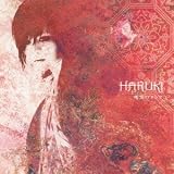 BELOVED HARUKI