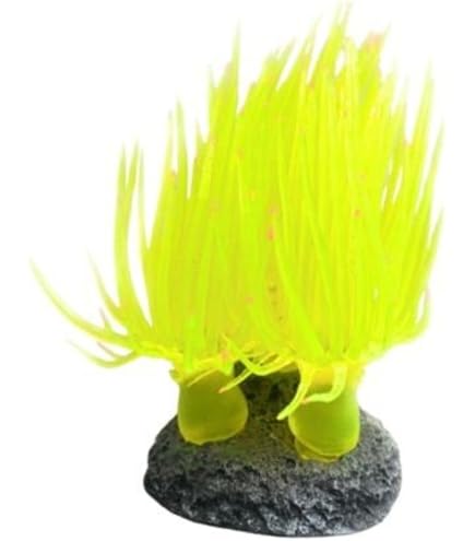 Amazon | LTWHOME ウミウチワ ウミマツ 本物サンゴ飾り 金魚鉢装飾