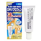 【第2類医薬品】ロキエプールG2 25g