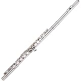 ROWCES Flute 木管楽器 フルート 16穴 Cキー コルクグリース/クリーニングクロス/ドライバー/手袋/スティック付き 初心者/音楽愛好者対応 シルバ【並行輸入品】