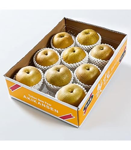 Amazon.co.jp: 新甘泉 梨 贈答 青秀 5~7玉 約1,8kg 鳥取県産 JA ギフト