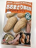 茹で落花生に向く超大粒の落花生 おおまさり 種子 1dl