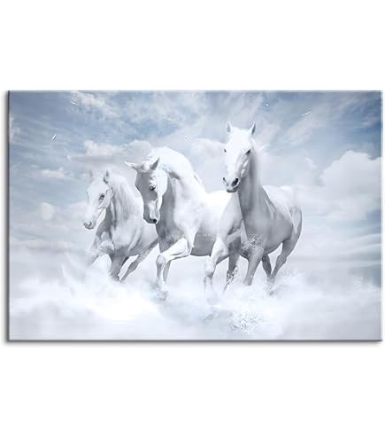 Amazon.co.jp: の中国馬の絹の絵馬アートの絵シルクスクロールアートの